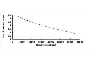 ELISA image for Calcitonin-Related Polypeptide alpha (CALCA) CLIA Kit (ABIN4947424)