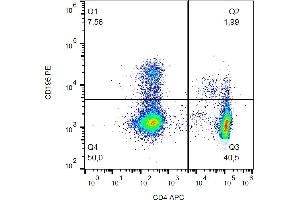 Flow cytometry analysis (surface staining) of CD195 in human peripheral blood with anti-CD195 (T21/8) PE. (CCR5 anticorps  (AA 1-22) (PE))