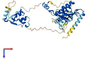 AlphaFold protein structure predicition of Mouse Recombinant Smarcb1 Protein, UniprotID Q9Z0H3