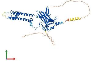 AlphaFold protein structure predicition of Mouse Recombinant Kcnj12 Protein, UniprotID P52187