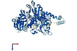 Fatty Acid Transport Protein 1 (FATP1) (AA 1-646) protein (His tag)