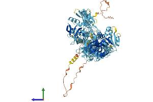 AlphaFold protein structure predicition of Mouse Recombinant Atp13a1 Protein, UniprotID Q9EPE9