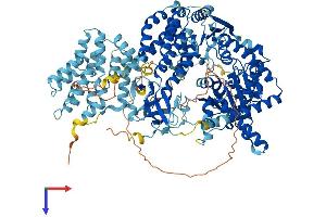 AlphaFold protein structure predicition of Human Recombinant IFIH1 Protein, UniprotID Q9BYX4