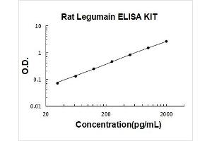 Legumain (LGMN) ELISA Kit