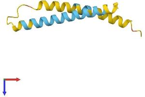 AlphaFold protein structure predicition of Human Recombinant NNAT Protein, UniprotID Q16517