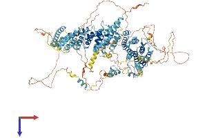 AlphaFold protein structure predicition of Mouse Recombinant Cebpz Protein, UniprotID P53569