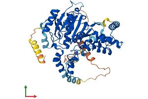 AlphaFold protein structure predicition of Mouse Recombinant Abhd16b Protein, UniprotID Q80YU0