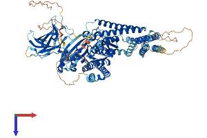 AlphaFold protein structure predicition of Mouse Recombinant Inpp4b Protein, UniprotID Q6P1Y8