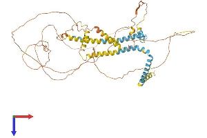 AlphaFold protein structure predicition of Human Recombinant RTN2 Protein, UniprotID O75298