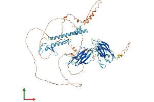 AlphaFold protein structure predicition of Mouse Recombinant Sytl5 Protein, UniprotID Q80T23