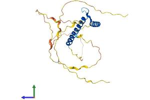 AlphaFold protein structure predicition of Human Recombinant BHLHA9 Protein, UniprotID Q7RTU4