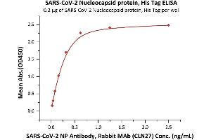 Immobilized SARS-CoV-2 Nucleocapsid protein, His Tag (ABIN6952453,ABIN6952461) at 2 μg/mL (100 μL/well) can bind SARS-CoV-2 NP Antibody, Rabbit MAb (CLN27) with a linear range of 0. (SARS-CoV-2 Nucleocapsid Protein (SARS-CoV-2 N) (His tag))