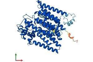 AlphaFold protein structure predicition of Human Recombinant ALG6 Protein, UniprotID Q9Y672