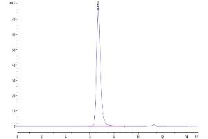 The purity of Biotinylated Cynomolgus CD3E 1-27 peptide is greater than 95 % as determined by SEC-HPLC.