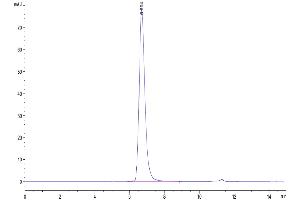 The purity of Biotinylated Cynomolgus CD3E 1-27 peptide is greater than 95 % as determined by SEC-HPLC. (CD3 epsilon Protein (CD3E) (AA 22-48) (Fc-Avi Tag,Biotin))
