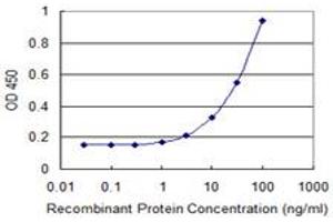 anti-Prefoldin Subunit 2 (PFDN2) (AA 1-154) antibody