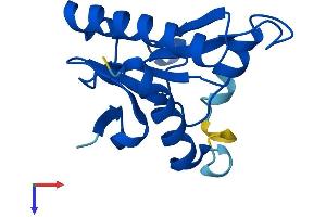 AlphaFold protein structure predicition of Mouse Recombinant Fhit Protein, UniprotID O89106