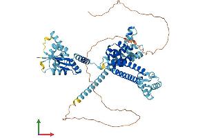 AlphaFold protein structure predicition of Human Recombinant NOP56 Protein, UniprotID O00567