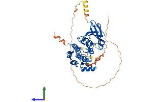 AlphaFold protein structure predicition of Human Recombinant AURKA Protein, UniprotID O14965