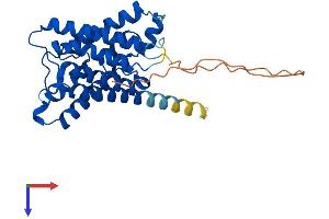 AlphaFold protein structure predicition of Mouse Recombinant Aqp6 Protein, UniprotID Q8C4A0