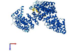 AlphaFold protein structure predicition of Mouse Recombinant Tnpo2 Protein, UniprotID Q99LG2