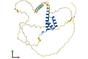 AlphaFold protein structure predicition of Mouse Recombinant Phox2a Protein, UniprotID Q62066