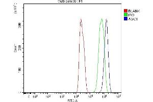 Flow Cytometry analysis of C6 cells using anti-AGO1 antibody (ABIN7601531). (AGO1 anticorps  (AA 376-409))