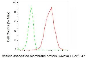 Flow cytometric analysis of Vesicle associated membrane protein 8 expression in HepG2 cells using Vesicle associated membrane protein 8 antibody ( (ABIN7800832), 1:2,000).