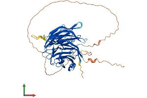 AlphaFold protein structure predicition of Mouse Recombinant Dph7 Protein, UniprotID Q9CYU6