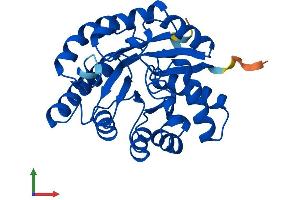 AlphaFold protein structure predicition of Human Recombinant TATDN3 Protein, UniprotID Q17R31