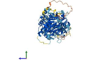 AlphaFold protein structure predicition of Human Recombinant TBC1D24 Protein, UniprotID Q9ULP9