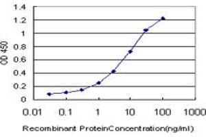 Detection limit for recombinant GST tagged CREB5 is approximately 0. (CREB5 anticorps  (AA 1-99))