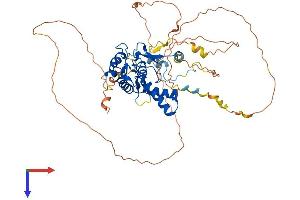 AlphaFold protein structure predicition of Human Recombinant NFIA Protein, UniprotID Q12857