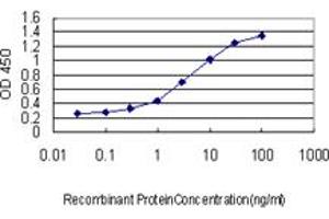 Detection limit for recombinant GST tagged ALAS1 is approximately 0. (ALAS1 anticorps  (AA 1-98))