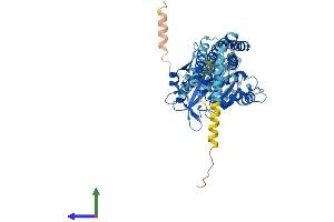 AlphaFold protein structure predicition of Human Recombinant ATL3 Protein, UniprotID Q6DD88