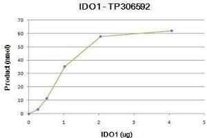 Bioactivity measured with Activity Assay