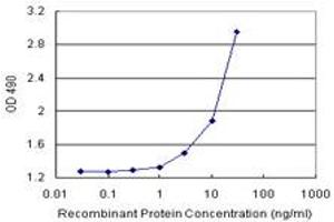 Sandwich ELISA detection sensitivity ranging from 1 ng/mL to 100 ng/mL. (AMBP (Humain) Matched Antibody Pair)