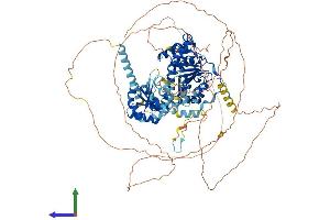 AlphaFold protein structure predicition of Mouse Recombinant Ddx42 Protein, UniprotID Q810A7