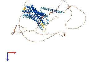 AlphaFold protein structure predicition of Human Recombinant GPR50 Protein, UniprotID Q13585