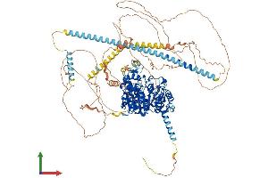 AlphaFold protein structure predicition of Mouse Recombinant Hdac4 Protein, UniprotID Q6NZM9