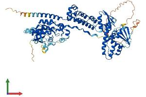 AlphaFold protein structure predicition of Human Recombinant RHOBTB1 Protein, UniprotID O94844