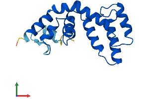 AlphaFold protein structure predicition of Human Recombinant RGS13 Protein, UniprotID O14921