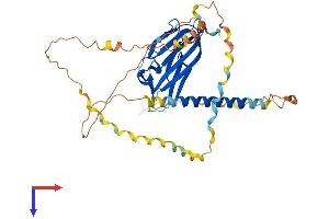 AlphaFold protein structure predicition of Mouse Recombinant Eda Protein, UniprotID O54693