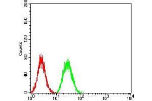 Flow cytometric analysis of Hela cells using BNIP3 mouse mAb (green) and negative control (red).