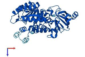 AlphaFold protein structure predicition of Mouse Recombinant Amdhd1 Protein, UniprotID Q9DBA8