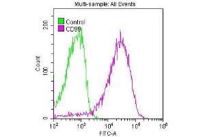 Overlay histogram showing Jurkat cells stained with ABIN7127288 (red line) at 1:50.