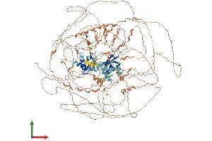 AlphaFold protein structure predicition of Mouse Recombinant Magel2 Protein, UniprotID Q9QZ04