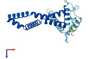 AlphaFold protein structure predicition of Human Recombinant ARL6IP5 Protein, UniprotID O75915