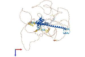 AlphaFold protein structure predicition of Mouse Recombinant Bach2 Protein, UniprotID P97303