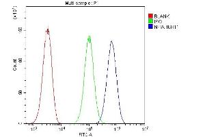 Flow Cytometry analysis of U20S cells using anti- NFIA antibody (ABIN6719349).